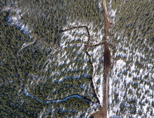 Caribou : les projets pilotes de Québec ont du plomb dans l’aile