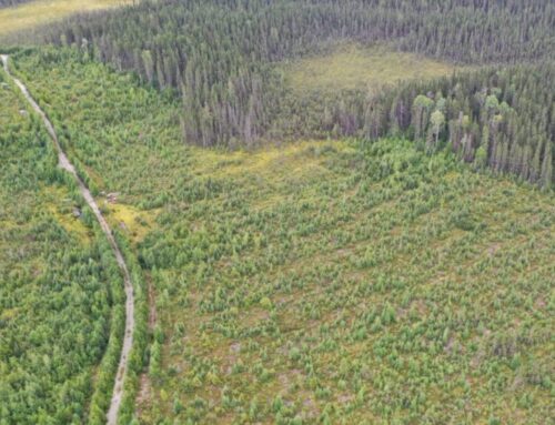 Québec manque de volonté politique, accuse Steven Guilbeault