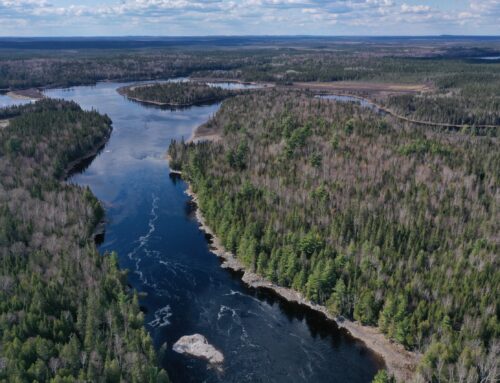 Le Québec tiraillé entre protection et destruction de la biodiversité